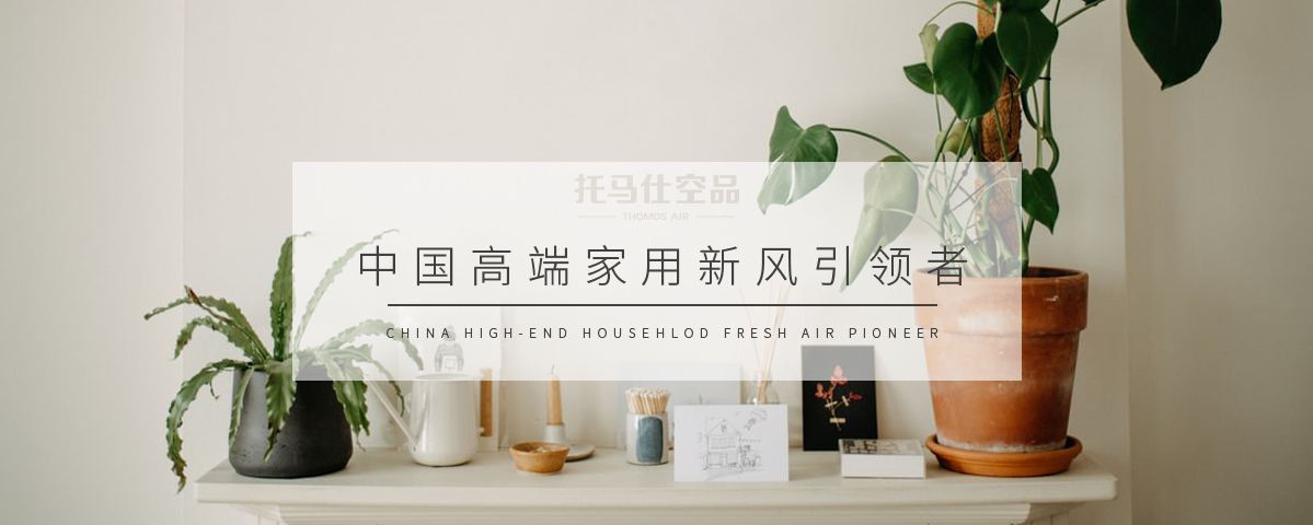 正版资料全年资料大全