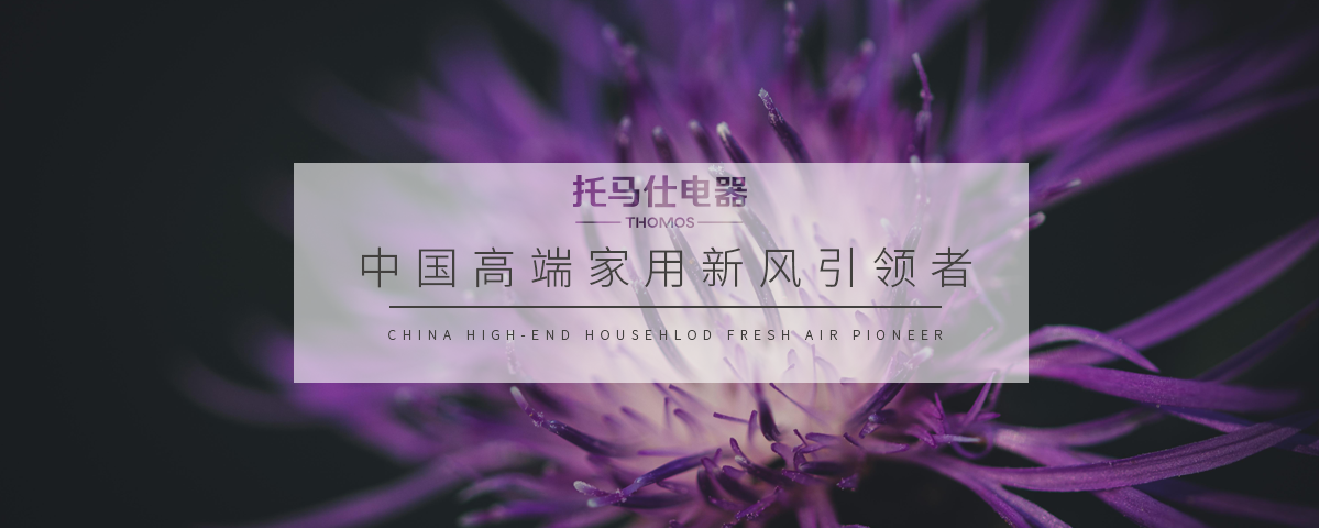 正版资料全年资料大全