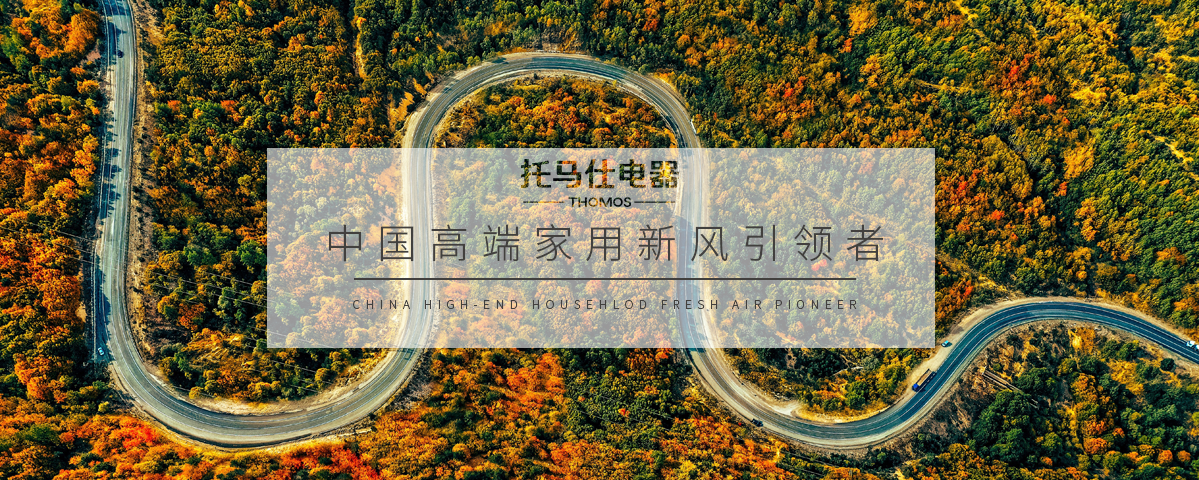 正版资料全年资料大全