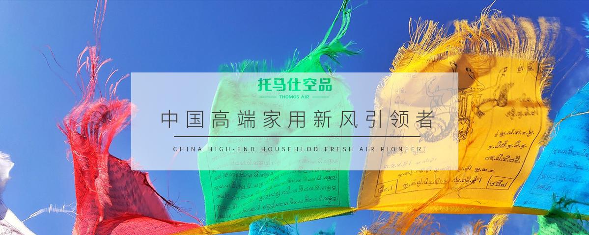 正版资料全年资料大全