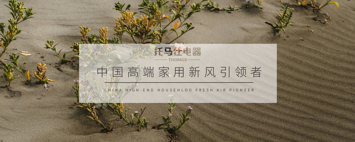正版资料全年资料大全