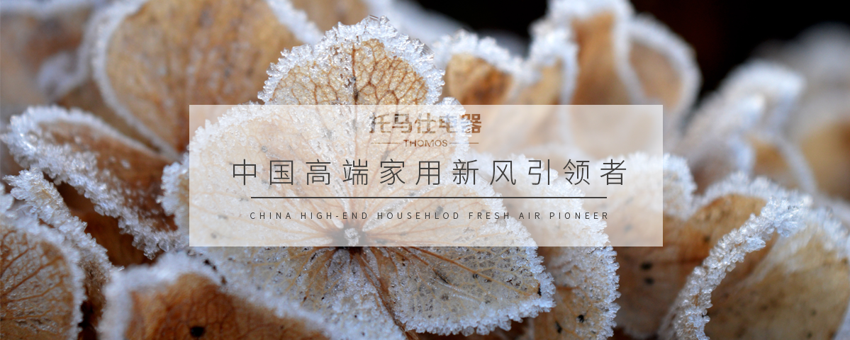 正版资料全年资料大全