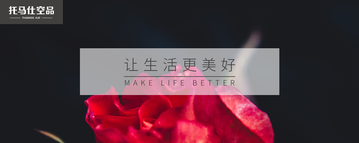 正版资料全年资料大全