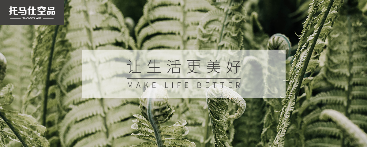 正版资料全年资料大全