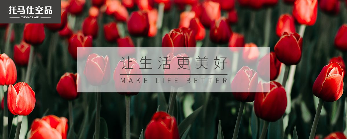 正版资料全年资料大全