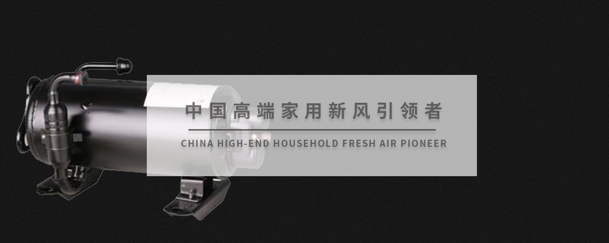 正版资料全年资料大全