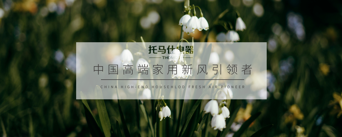 正版资料全年资料大全