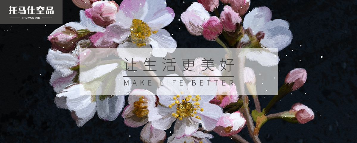 正版资料全年资料大全