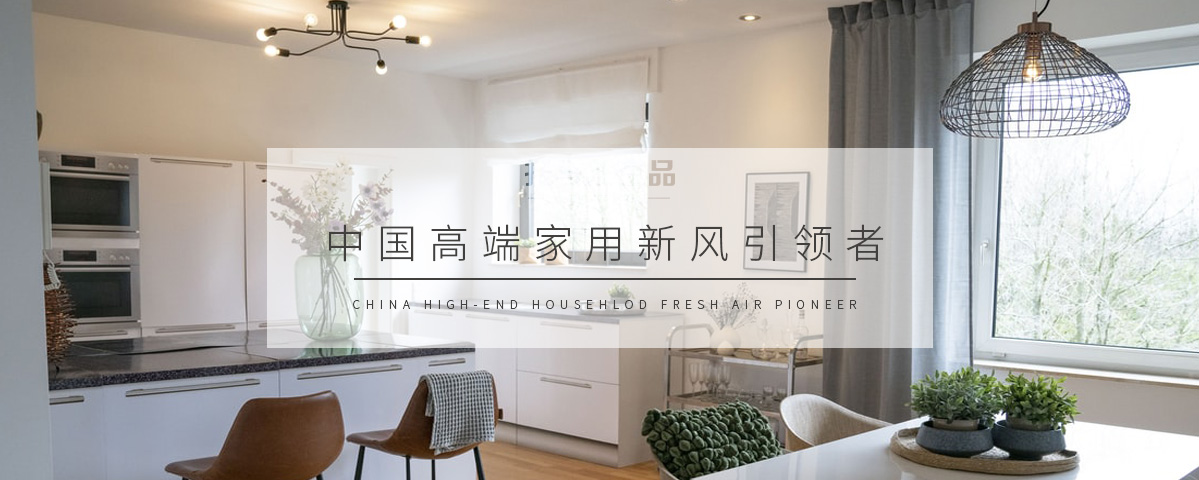 正版资料全年资料大全
