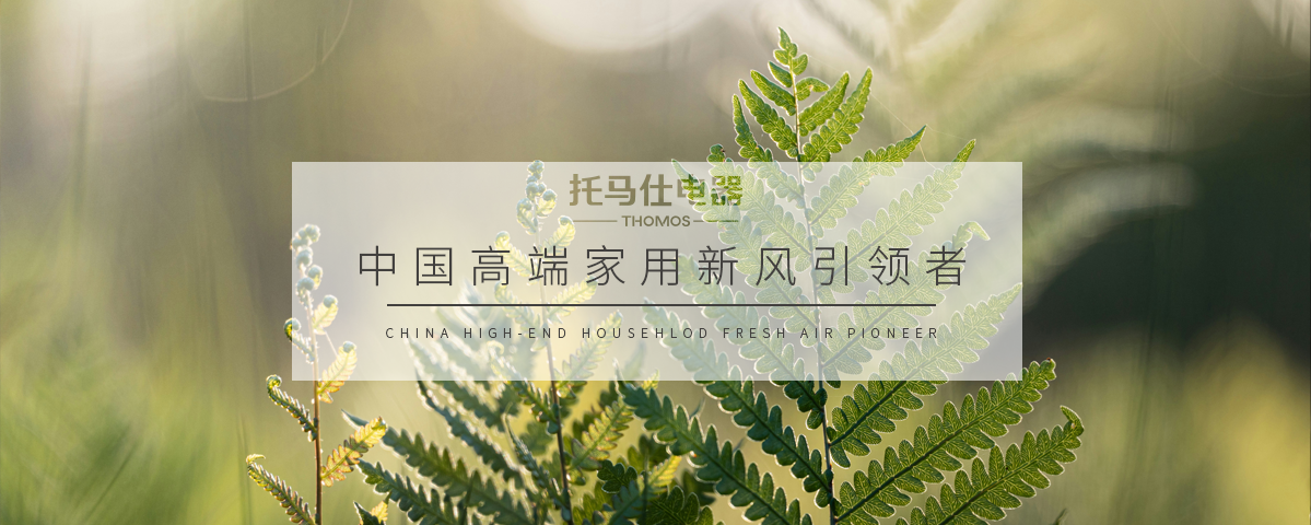 正版资料全年资料大全