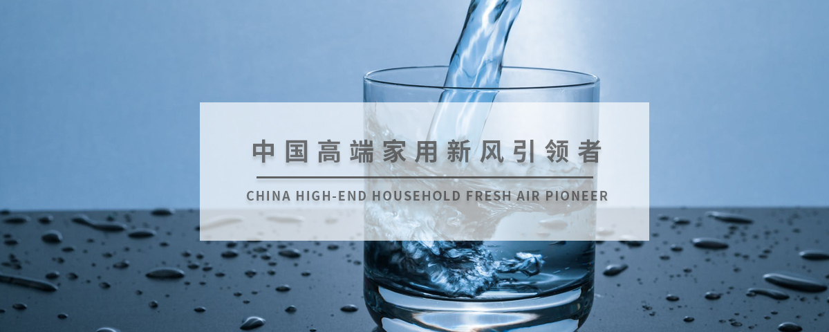 正版资料全年资料大全