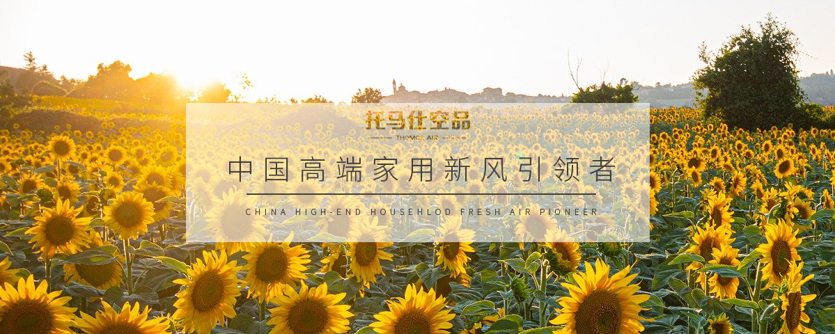 正版资料全年资料大全