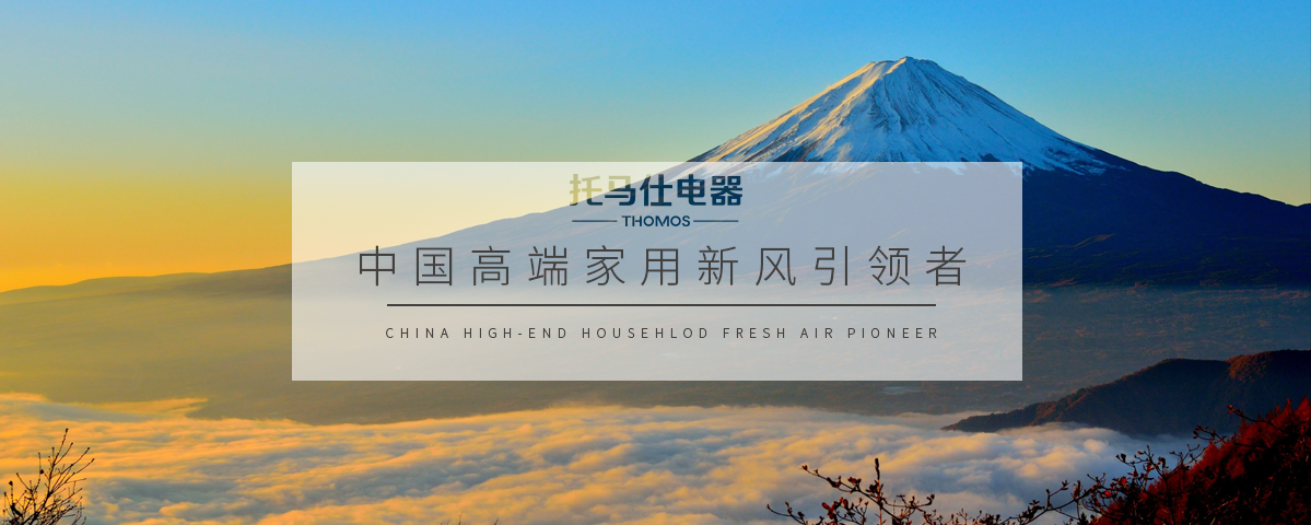 正版资料全年资料大全