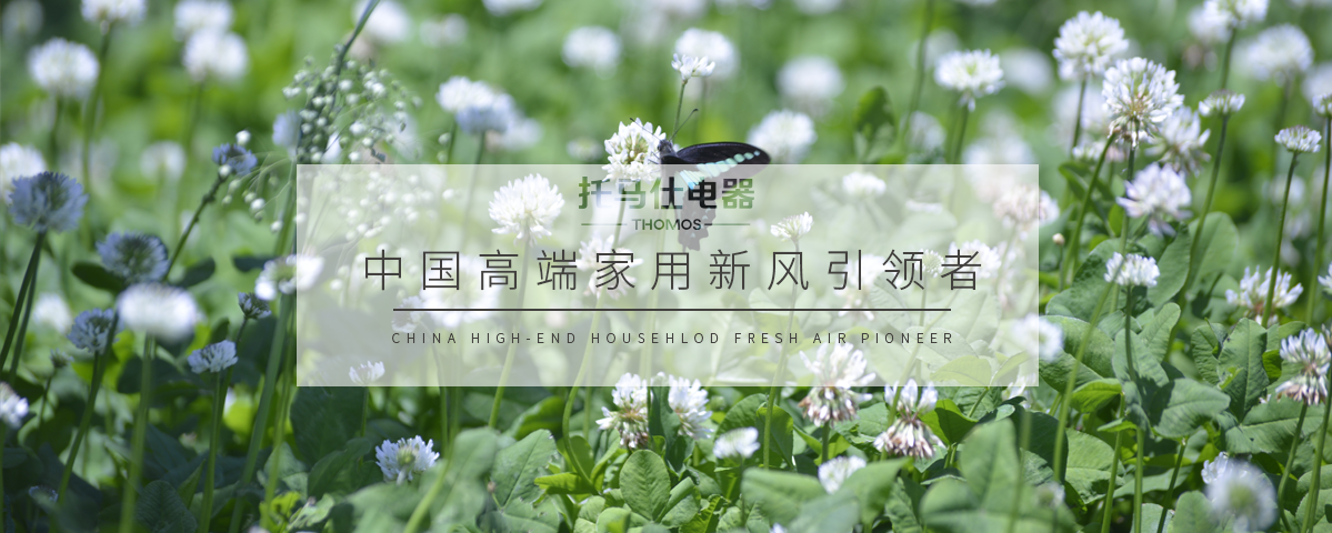 正版资料全年资料大全