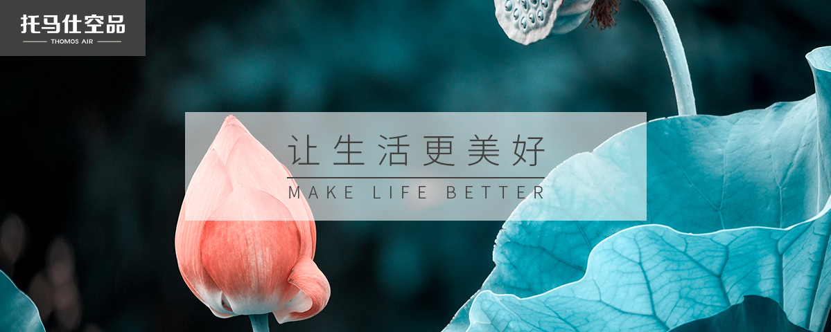 正版资料全年资料大全