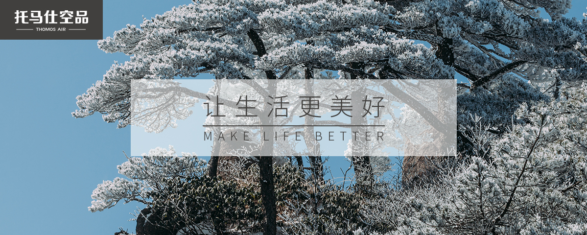 正版资料全年资料大全