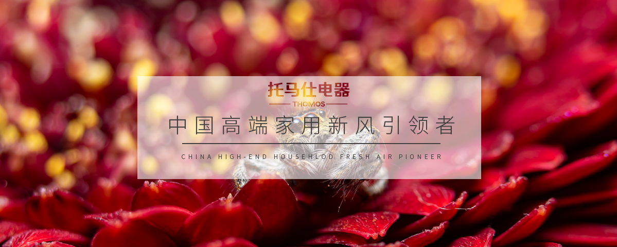 正版资料全年资料大全