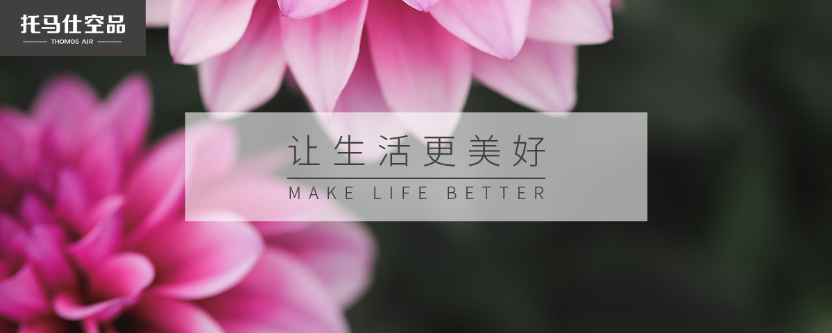 正版资料全年资料大全