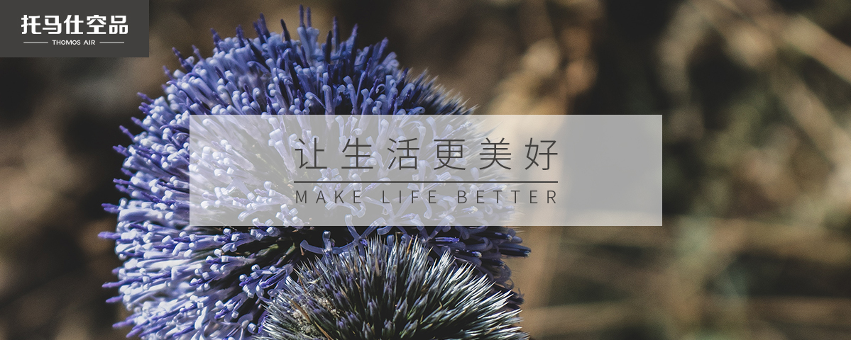 正版资料全年资料大全