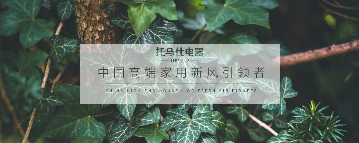 正版资料全年资料大全