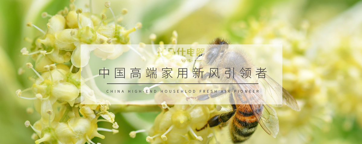 正版资料全年资料大全