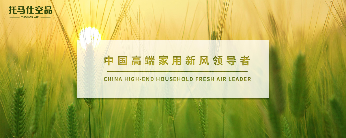 正版资料全年资料大全