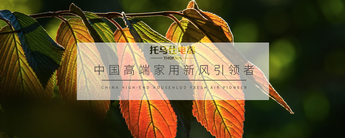 正版资料全年资料大全