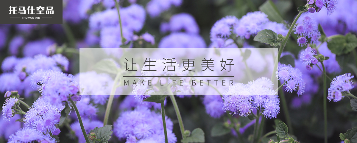 正版资料全年资料大全