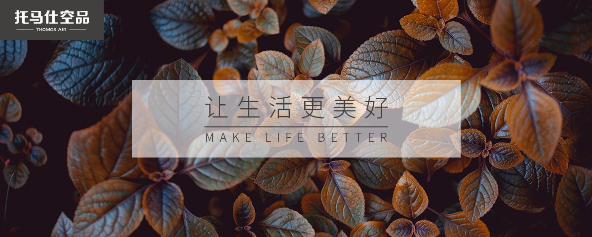 中央新风系统