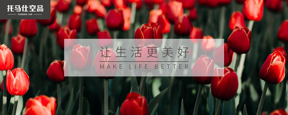 新风系统