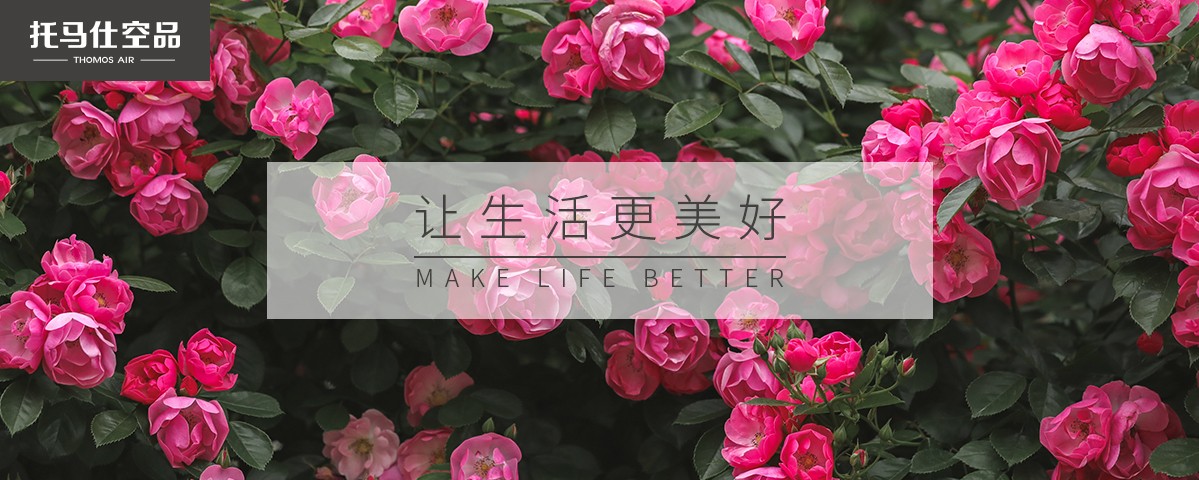 新风系统