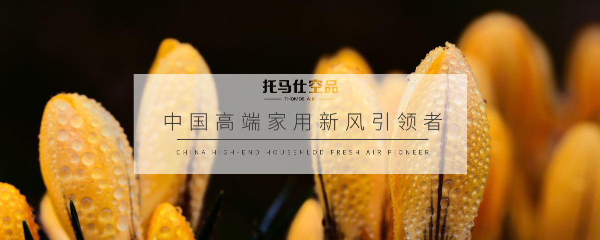 托马仕空品.jpg