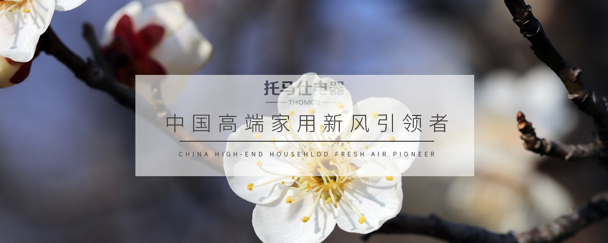 正版资料全年资料大全